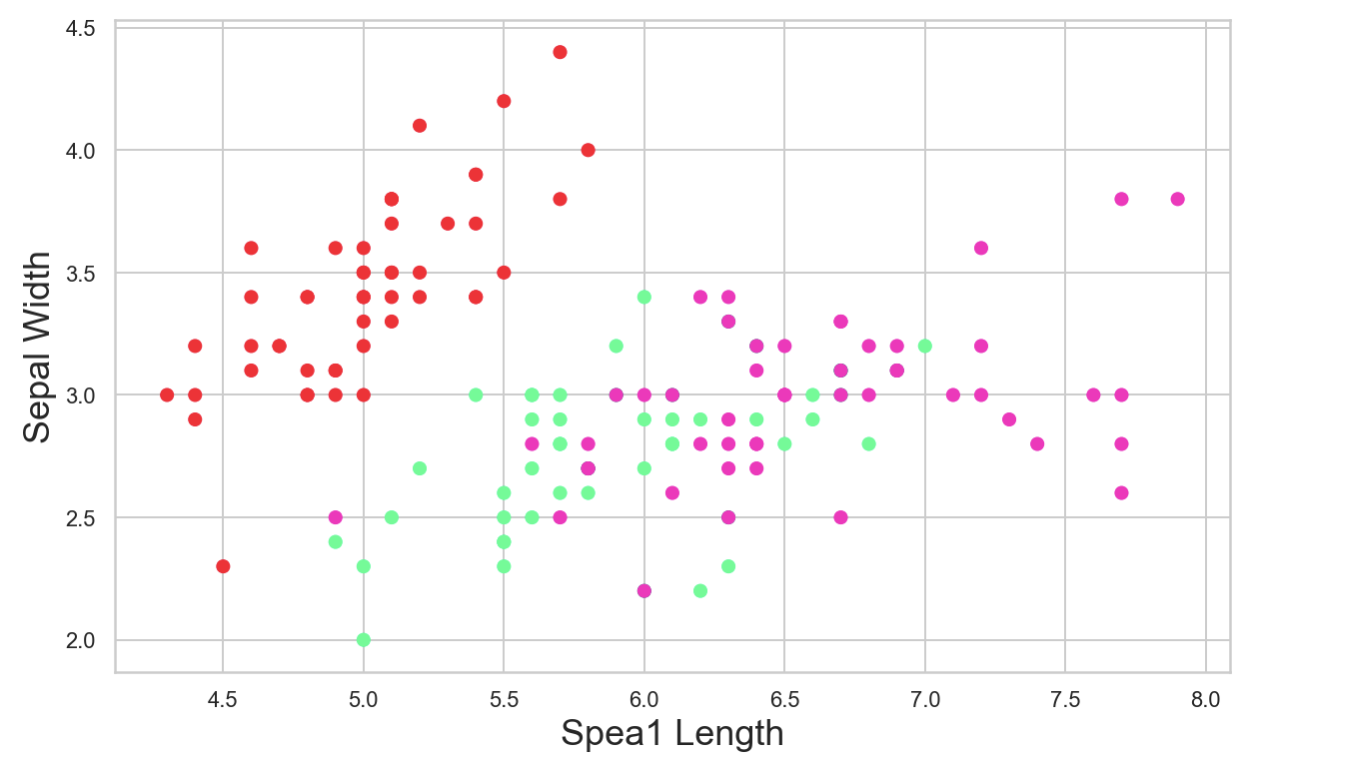 iris 데이터 scatter plot